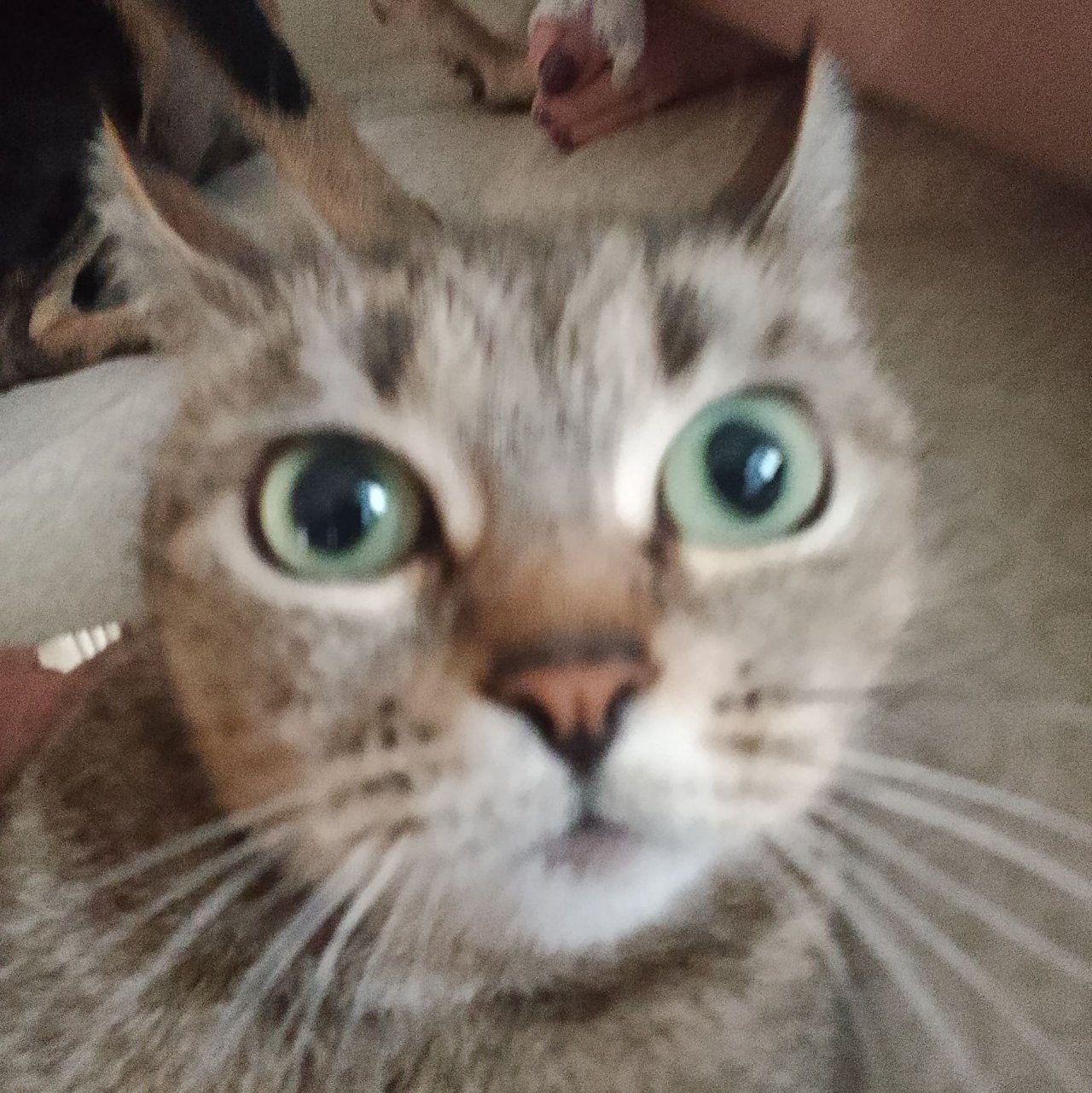 Иконка канала Wad777