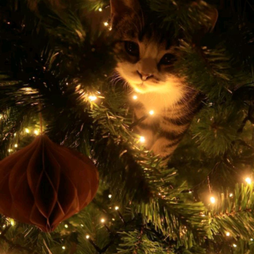 Иконка канала 🎄Наташка🎁