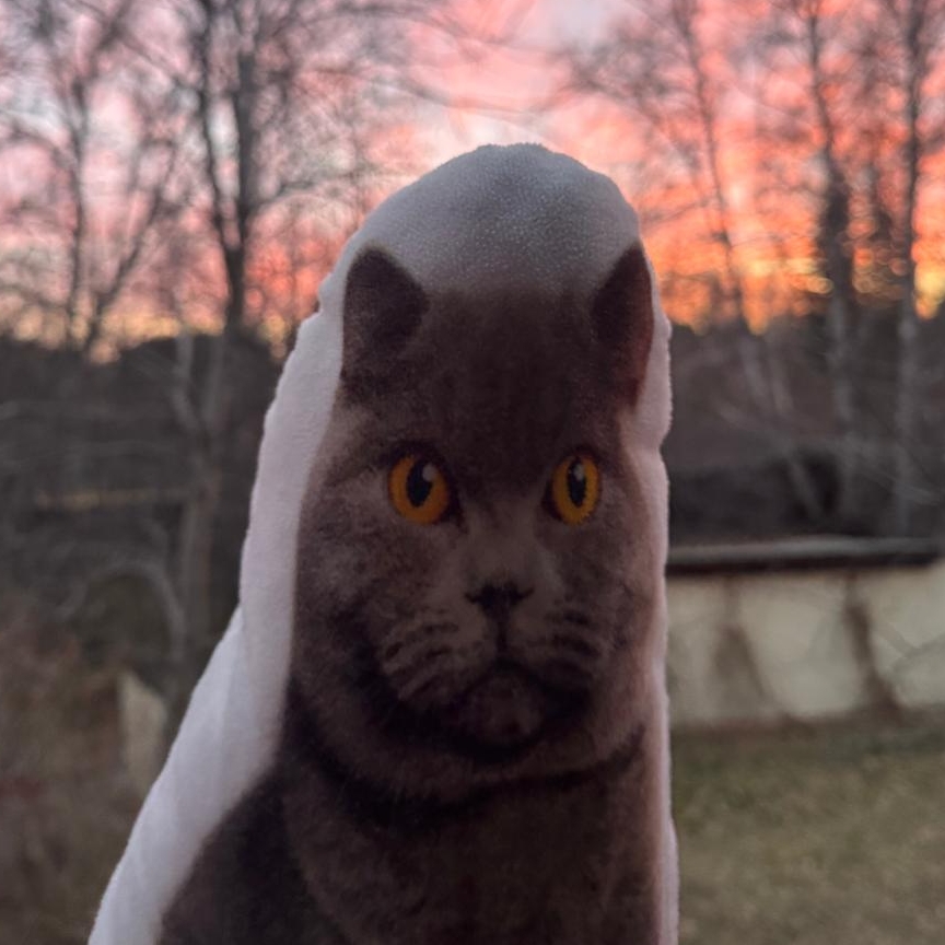 Иконка канала FyflikXD