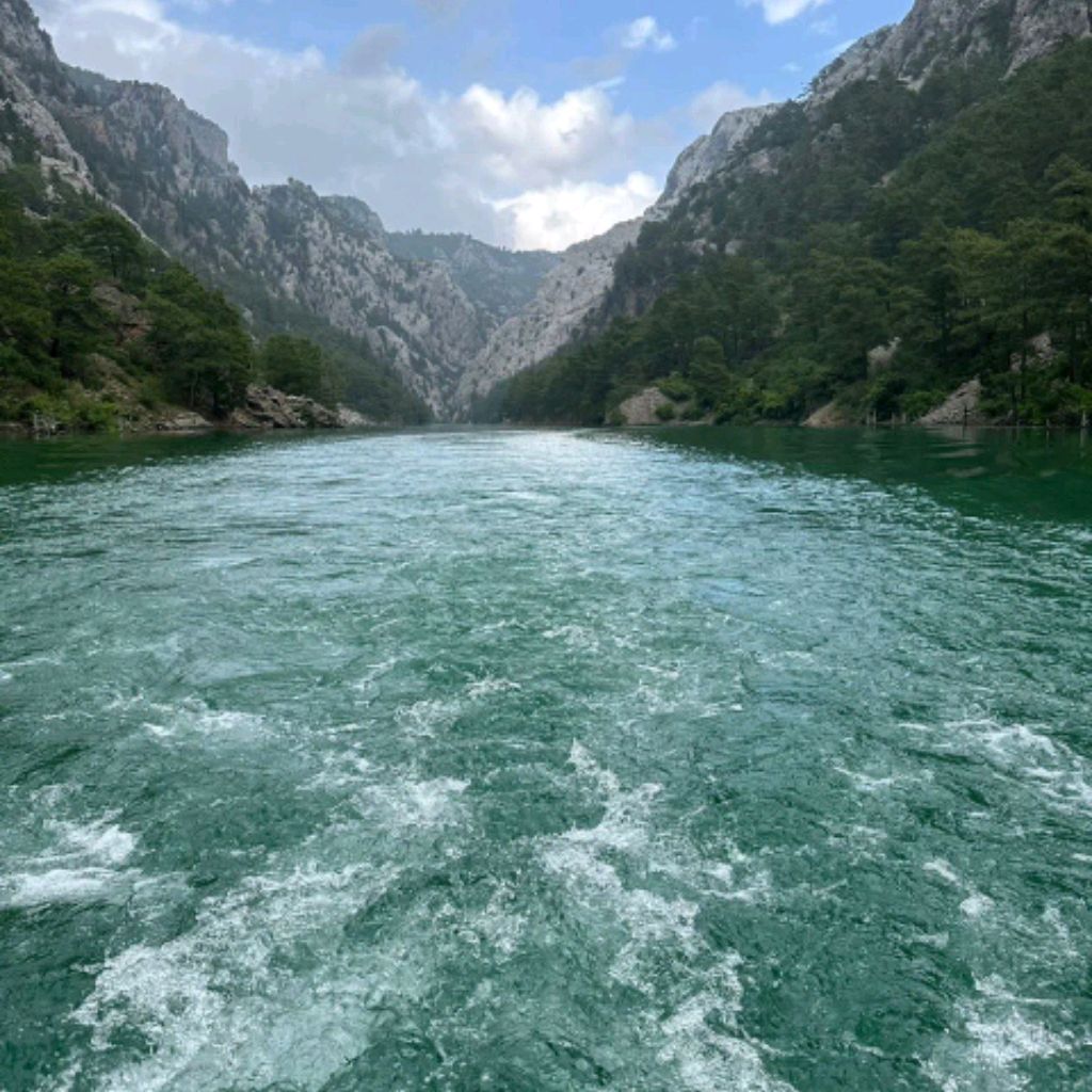 Иконка канала Totoant