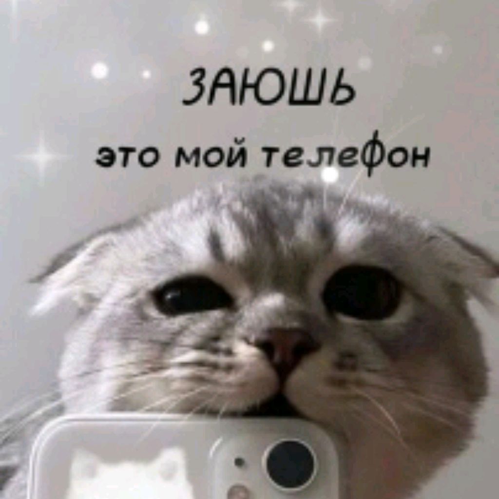 Иконка канала 𝒻𝒶𝓃𝒸𝓎 𝓉𝑒𝓍𝓉🩷🐱