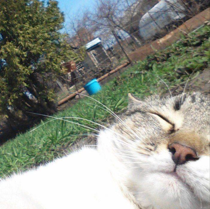 Иконка канала Блог Ивана