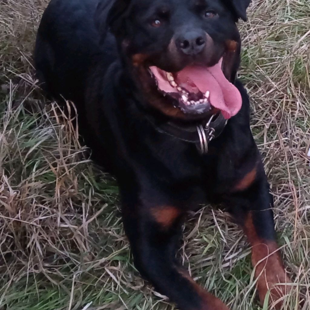 Иконка канала Сергей Мастер