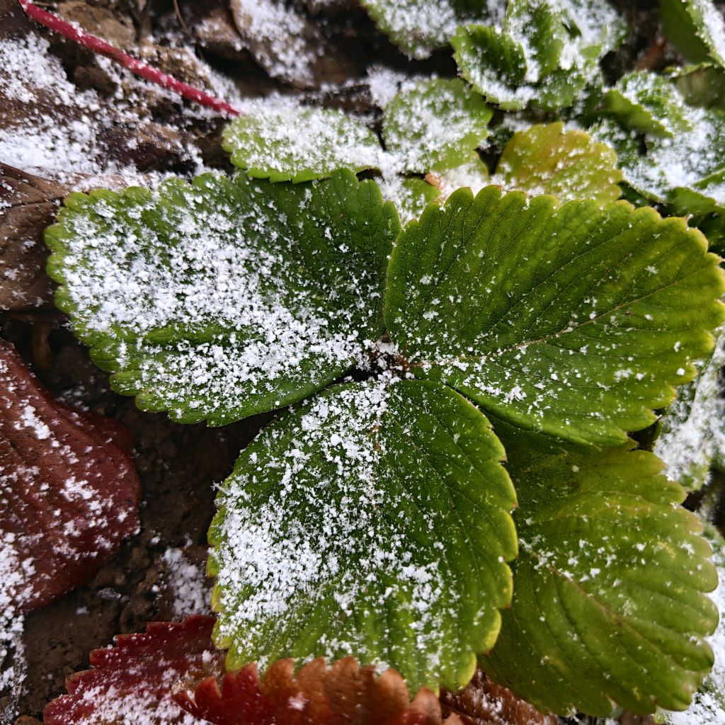 Иконка канала Slametourres