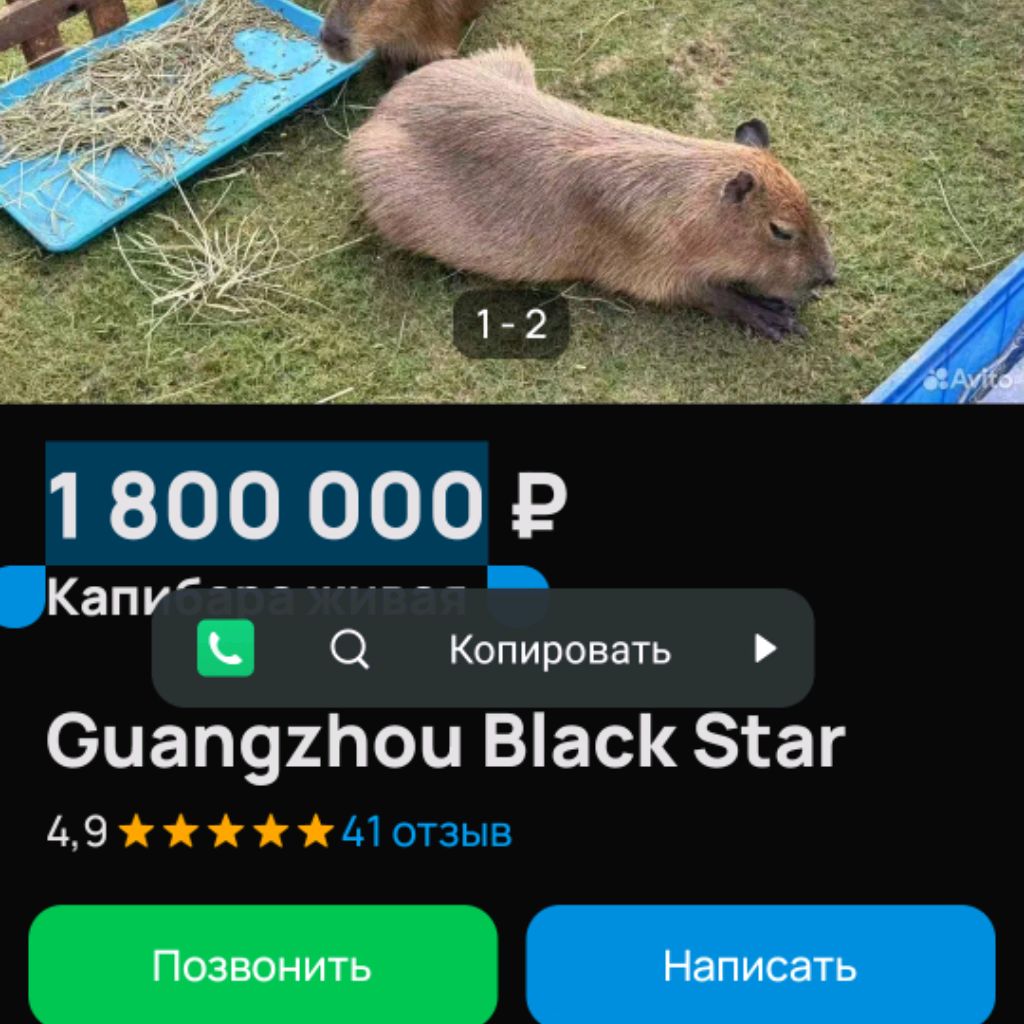 Иконка канала Пузырёк!