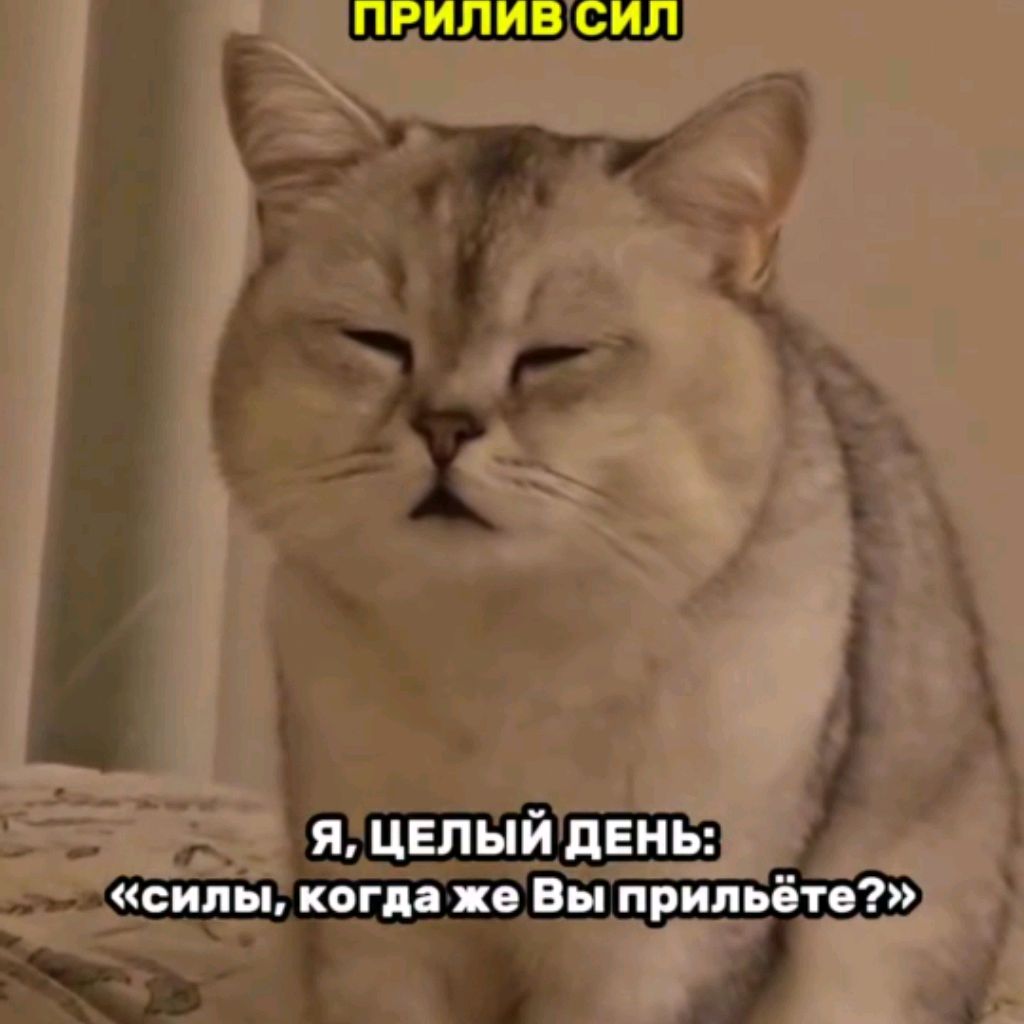 Иконка канала Плиточник