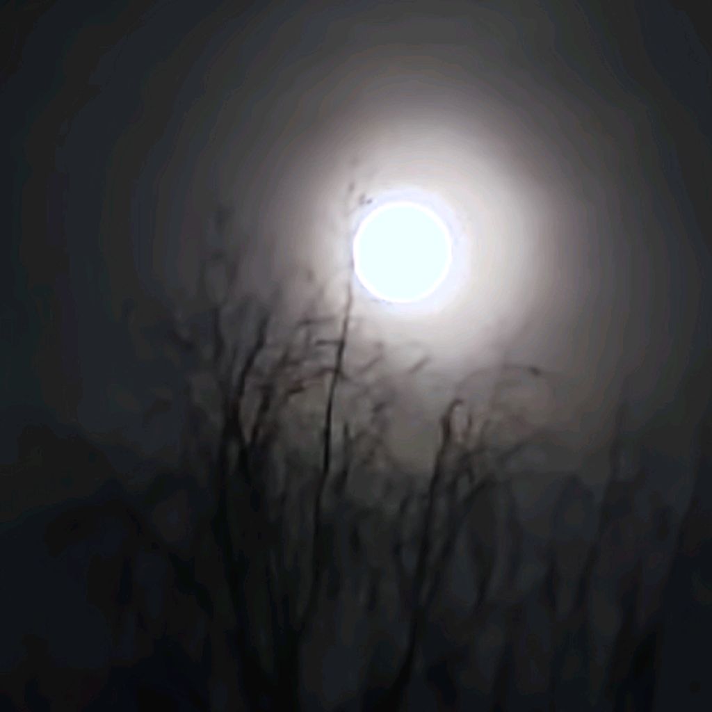 Иконка канала Nikita and Semon