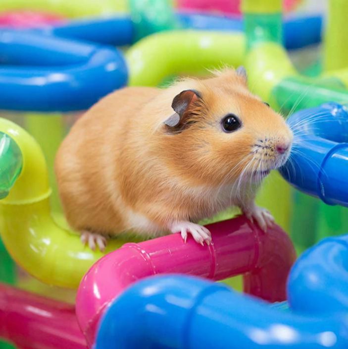 Иконка канала СКАЗКИ ДЕТЯМ