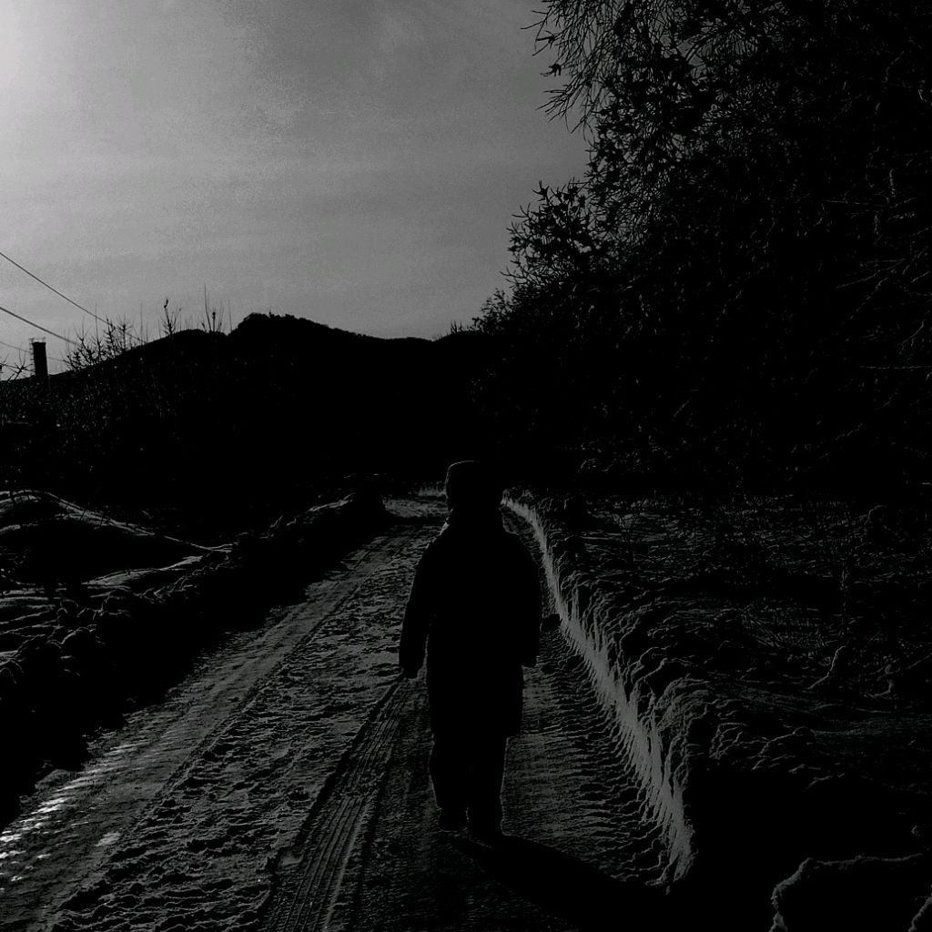 Иконка канала Синий лес в твоих снах