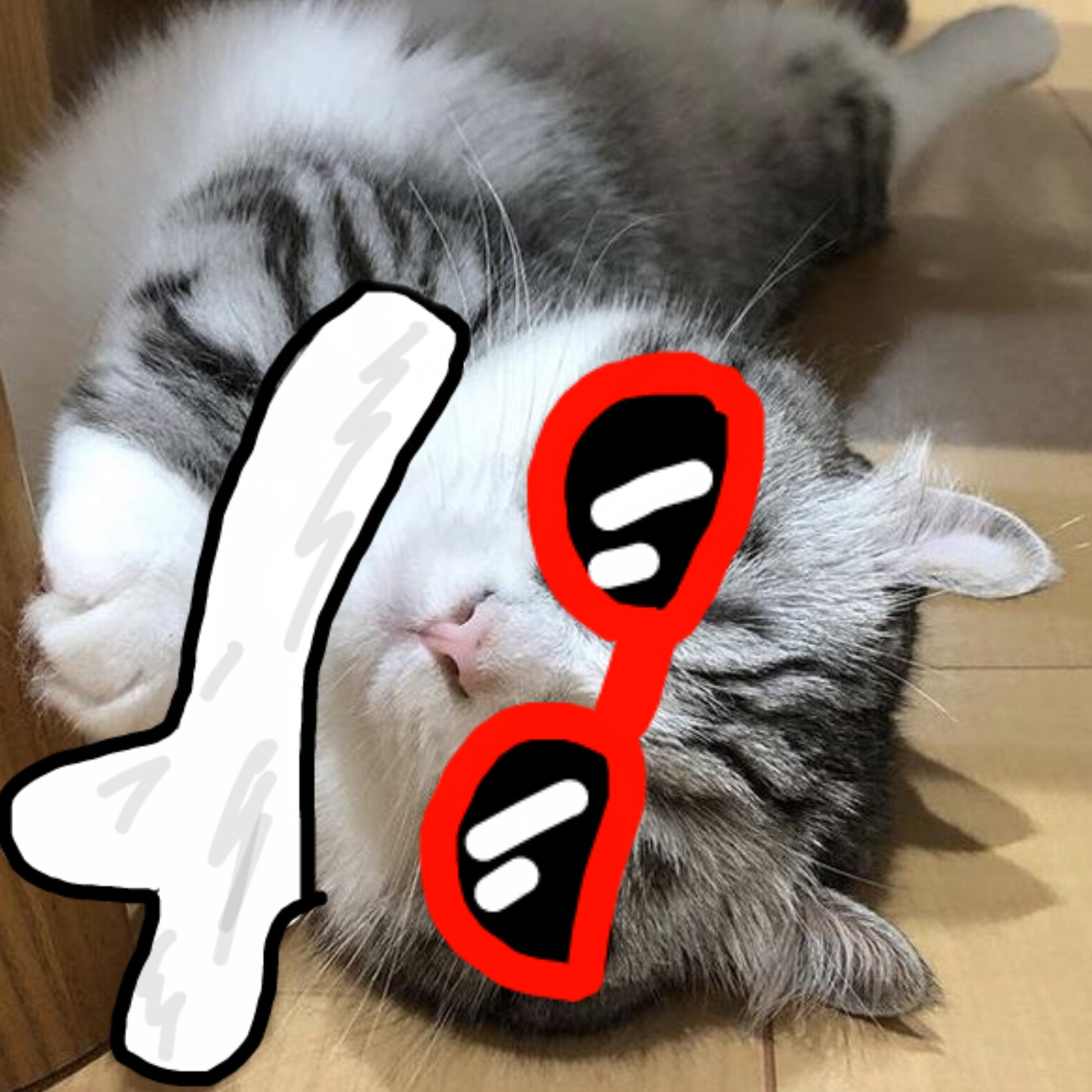 Иконка канала 🤍Cat Play G🤍