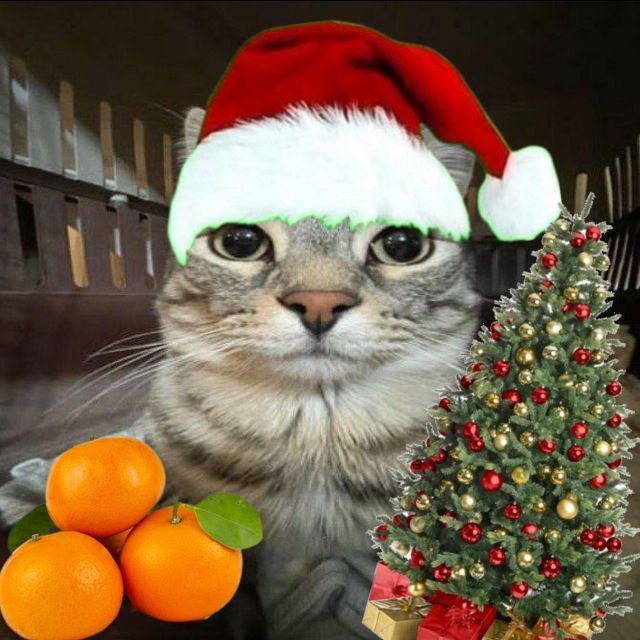 Иконка канала 🎄M1shaCCMCC🎄