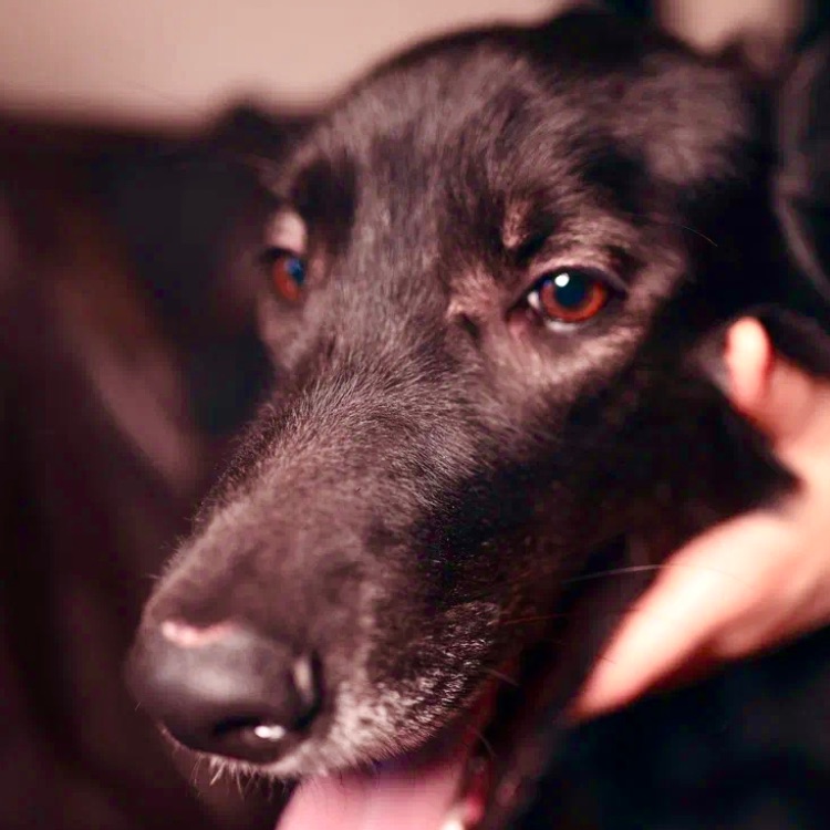 Иконка канала channel73720237