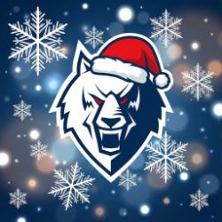 Иконка канала Хоккейный клуб "Нефтехимик"