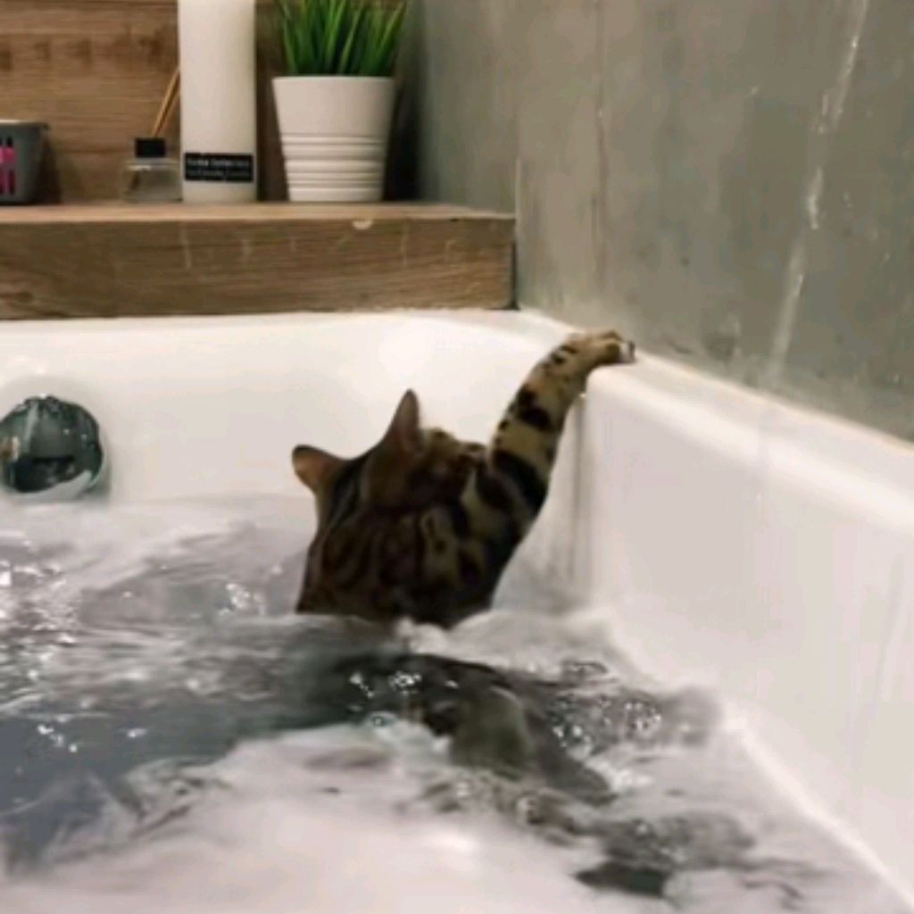 Иконка канала .