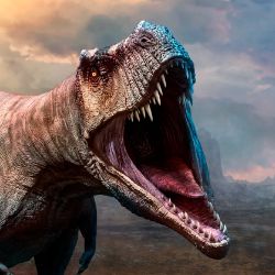 Иконка канала Adolt