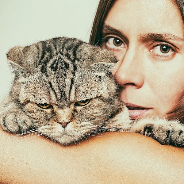 Иконка канала Дневник кочевого кошатника