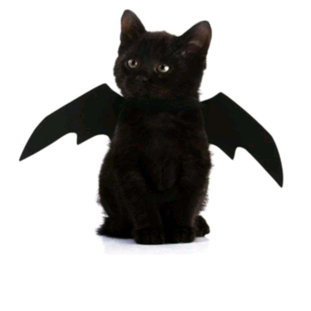 Иконка канала 𝙋𝙧𝙚𝙢𝙞𝙪𝙢 𝗰𝗼𝗺𝗺𝗲𝗻𝘁