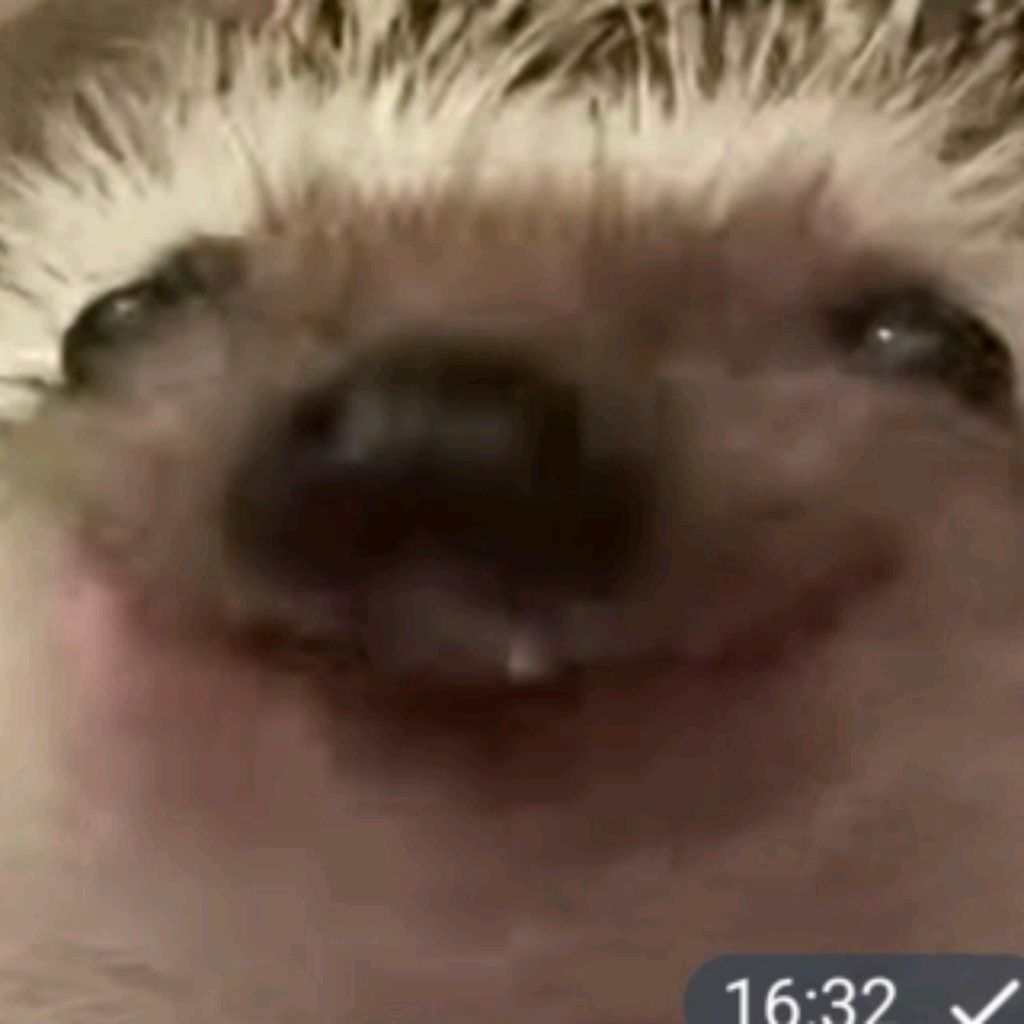 Иконка канала Богданиха🤗