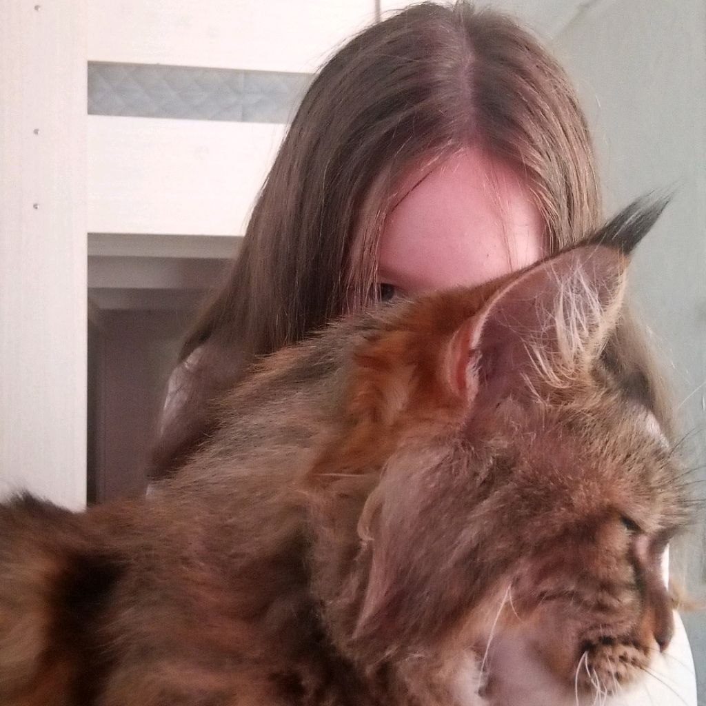 Иконка канала #—Lynx!XD🙀