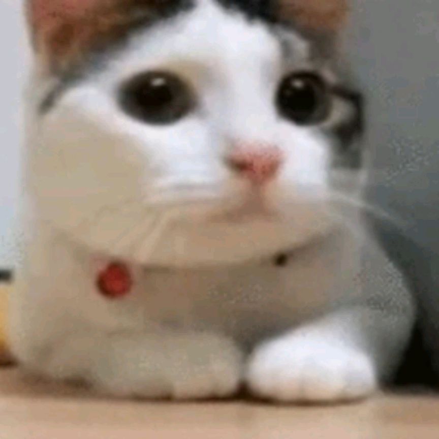 Иконка канала Miste Funny