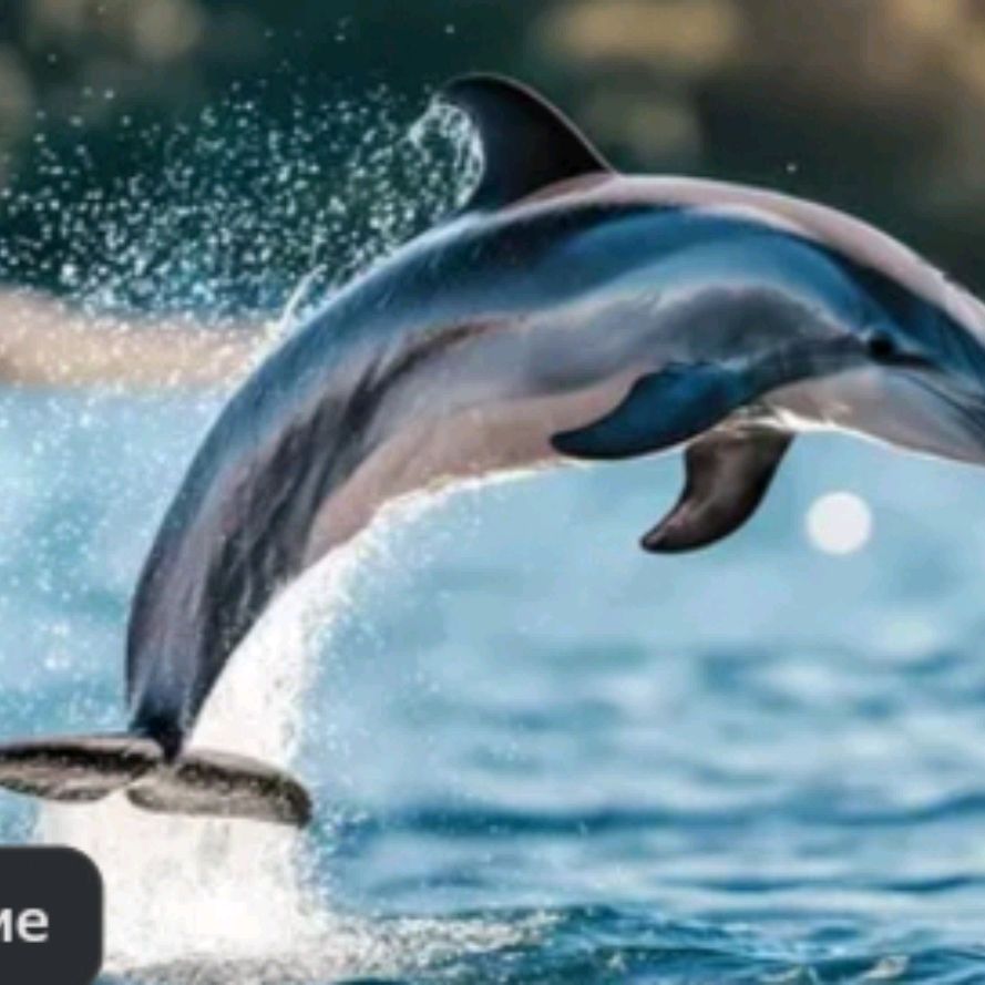 Иконка канала ДАБЛ — Ю 🤯