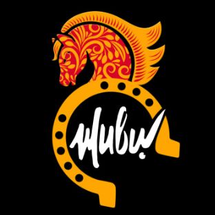 Иконка канала Телеканал ЖИВИ! jv.ru | Тренировки дома