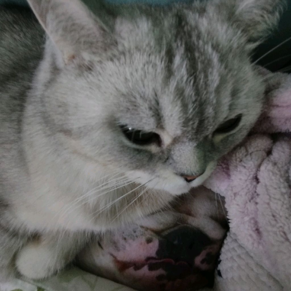 Иконка канала 🎀🧸~Вика ~🧸🎀