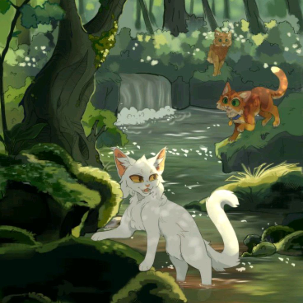 Иконка канала Коты Воители🪄