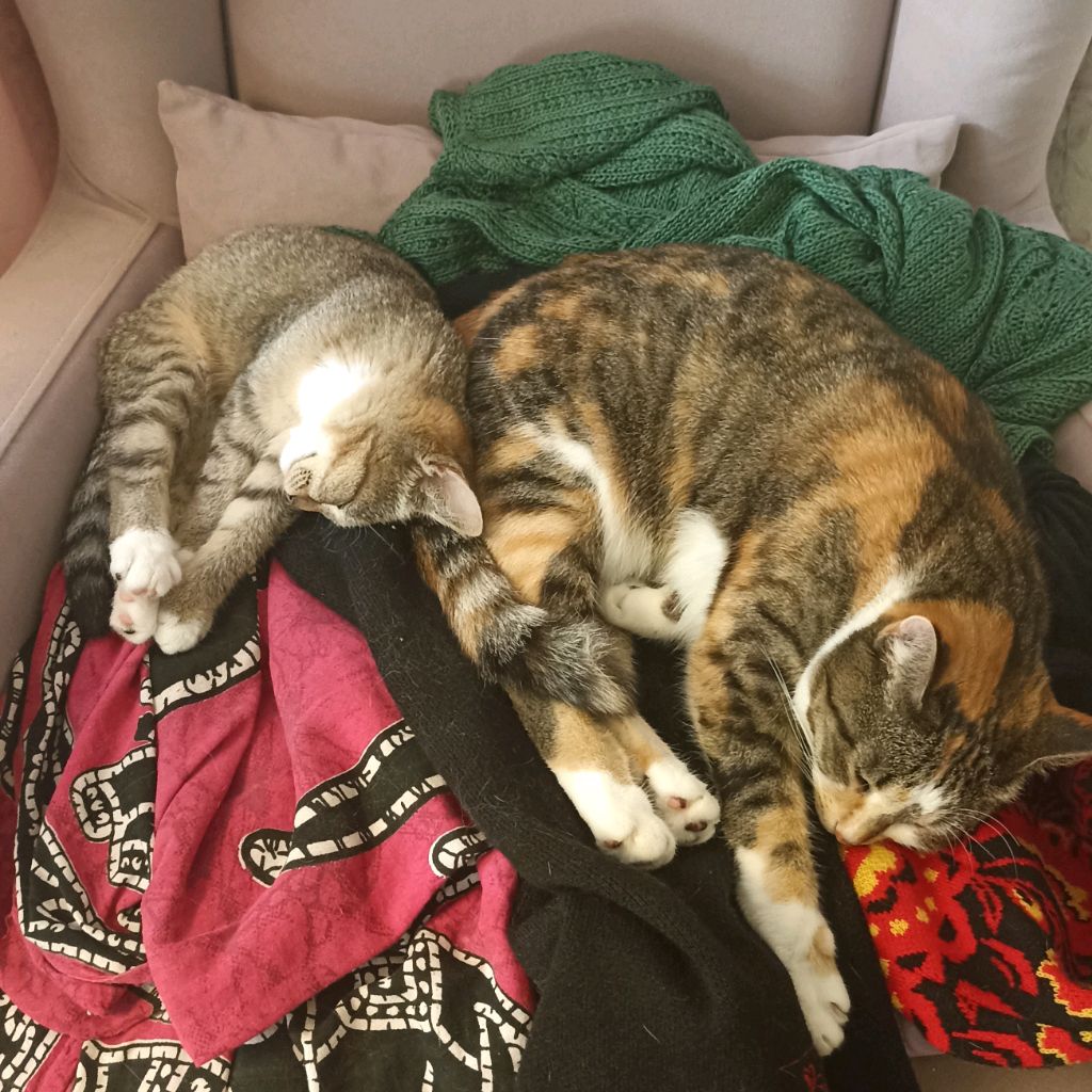 Иконка канала 🌟Звëздочка🌟