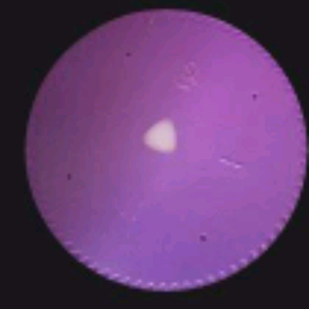 Иконка канала Алиса