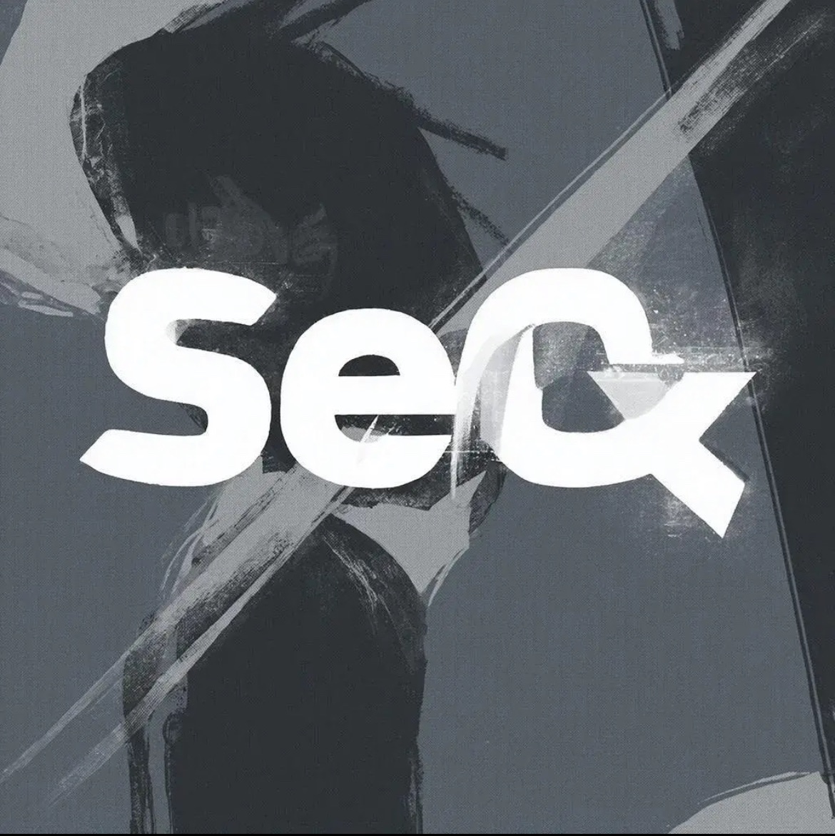 Иконка канала SeQ