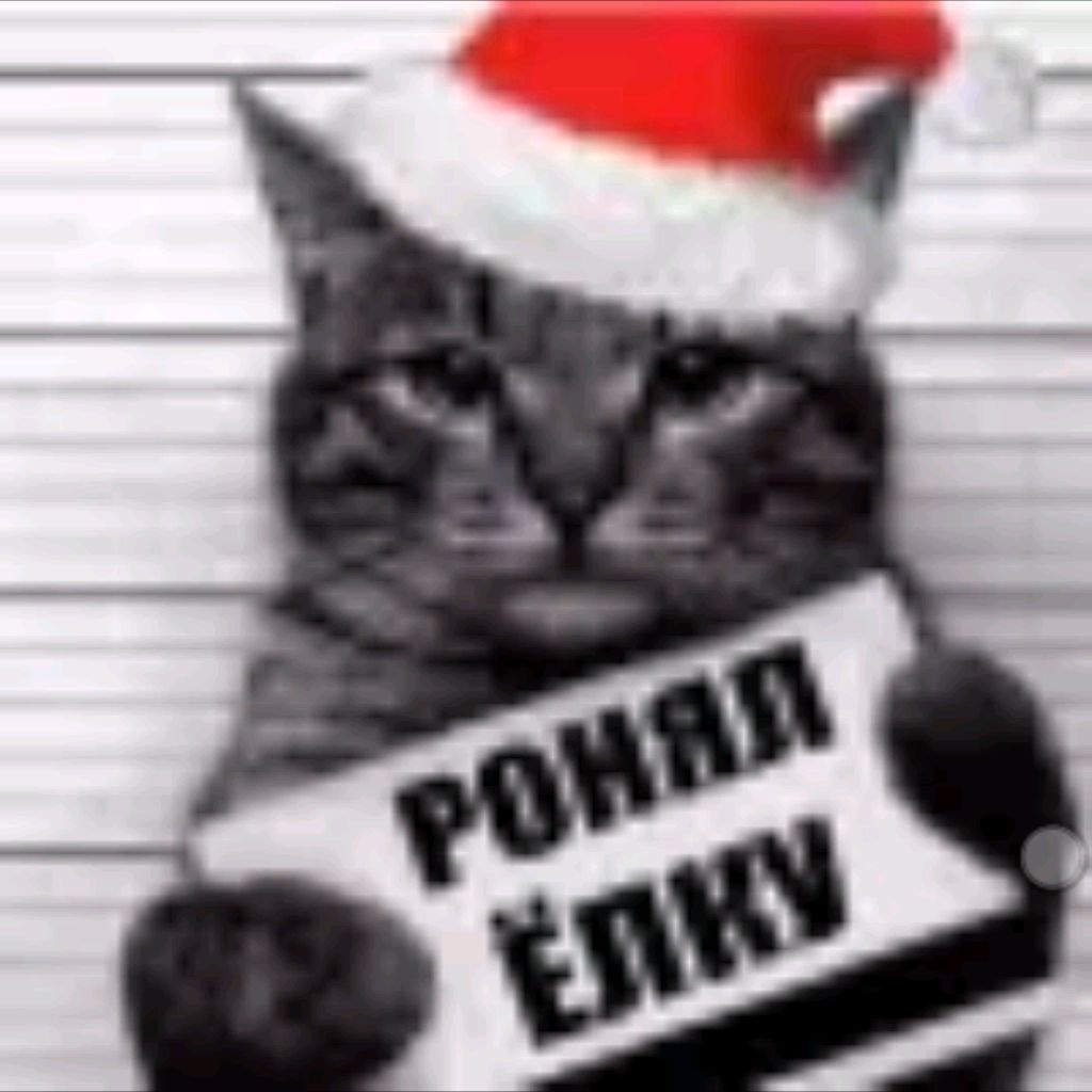 Иконка канала ☃️🌲Poнял Ёлky🐾❄️