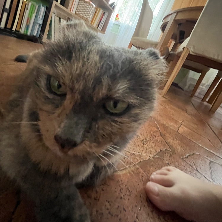 Иконка канала ✨БЛЁСТКА✨