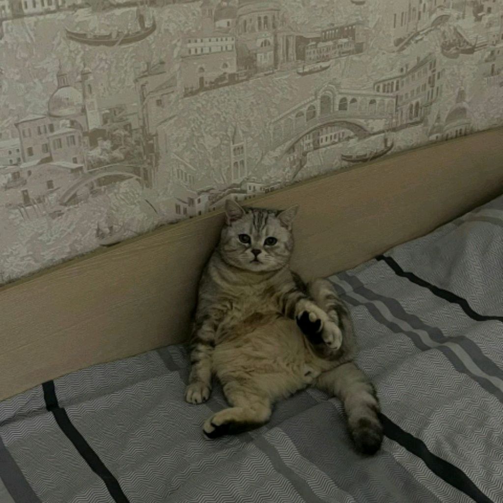 Иконка канала Марсик