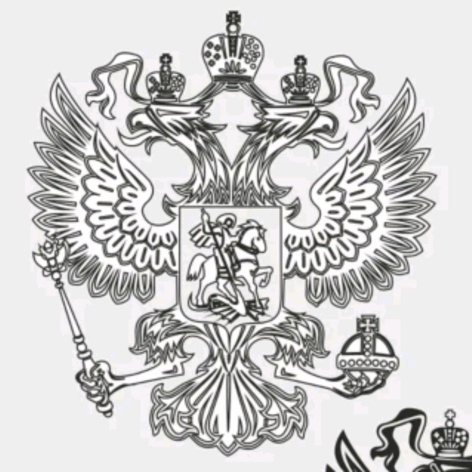 Иконка канала 🇷🇺 САНЁК 🇷🇺