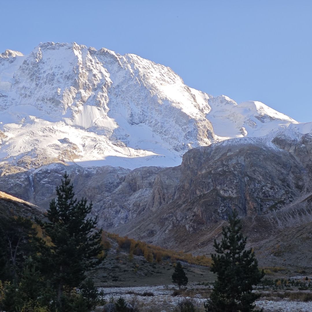 Иконка канала Дневник  Пожилого горожанина.
