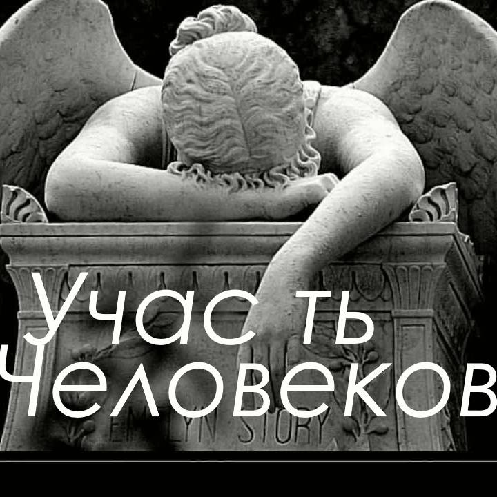 Иконка канала ИнтеллектГавань