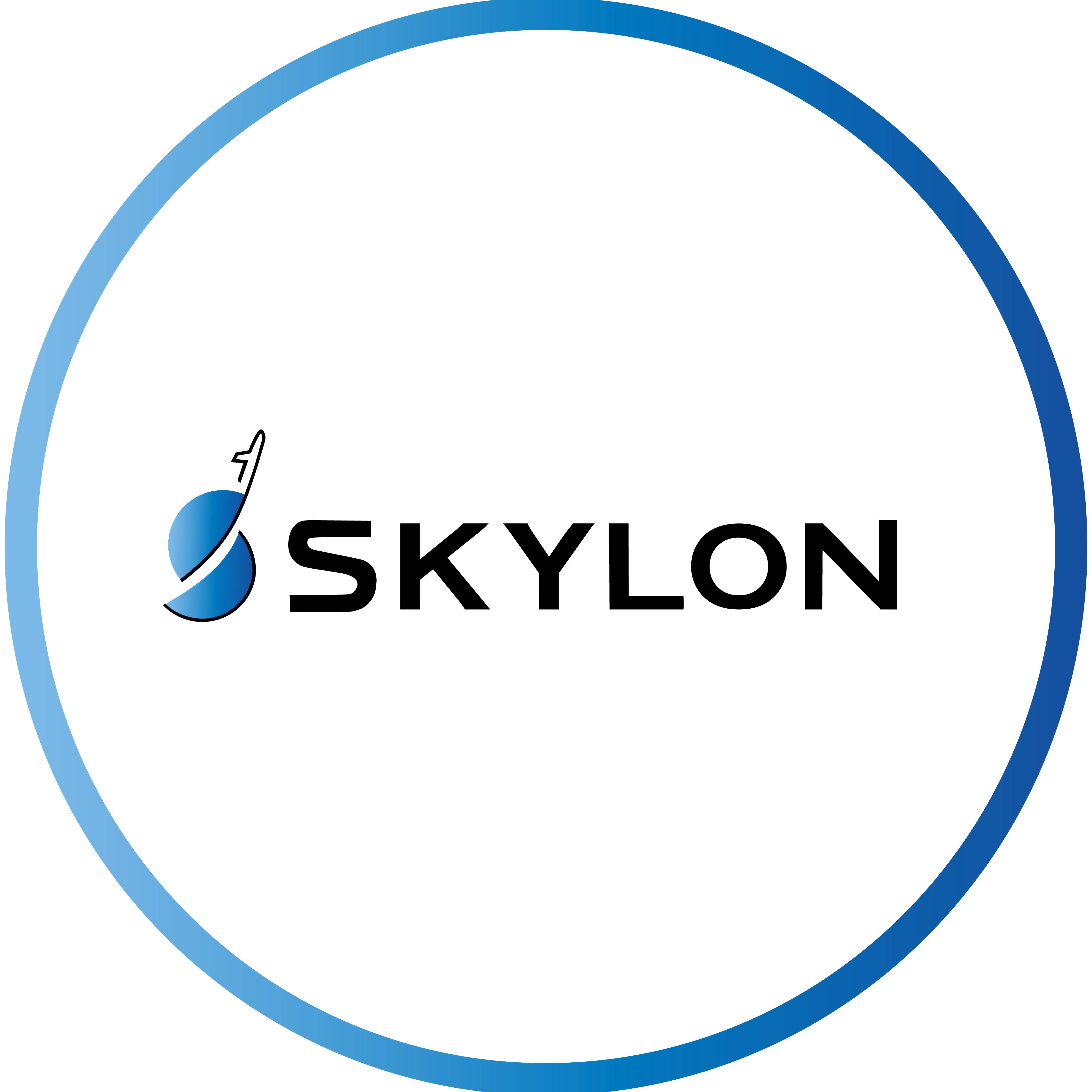 Иконка канала SKYLON - телематика, которая работает