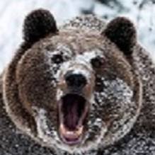 Иконка канала Больной Рыбалкой! sany137