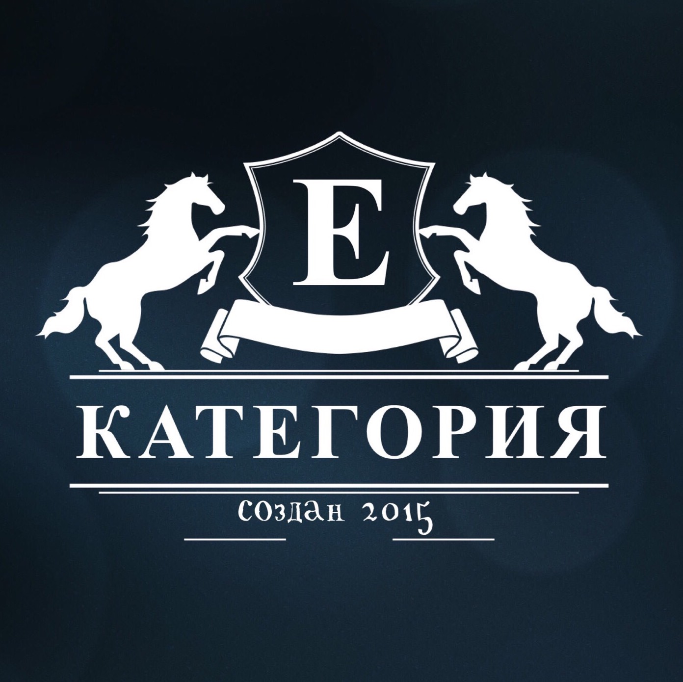 КАТЕГОРИЯ Е