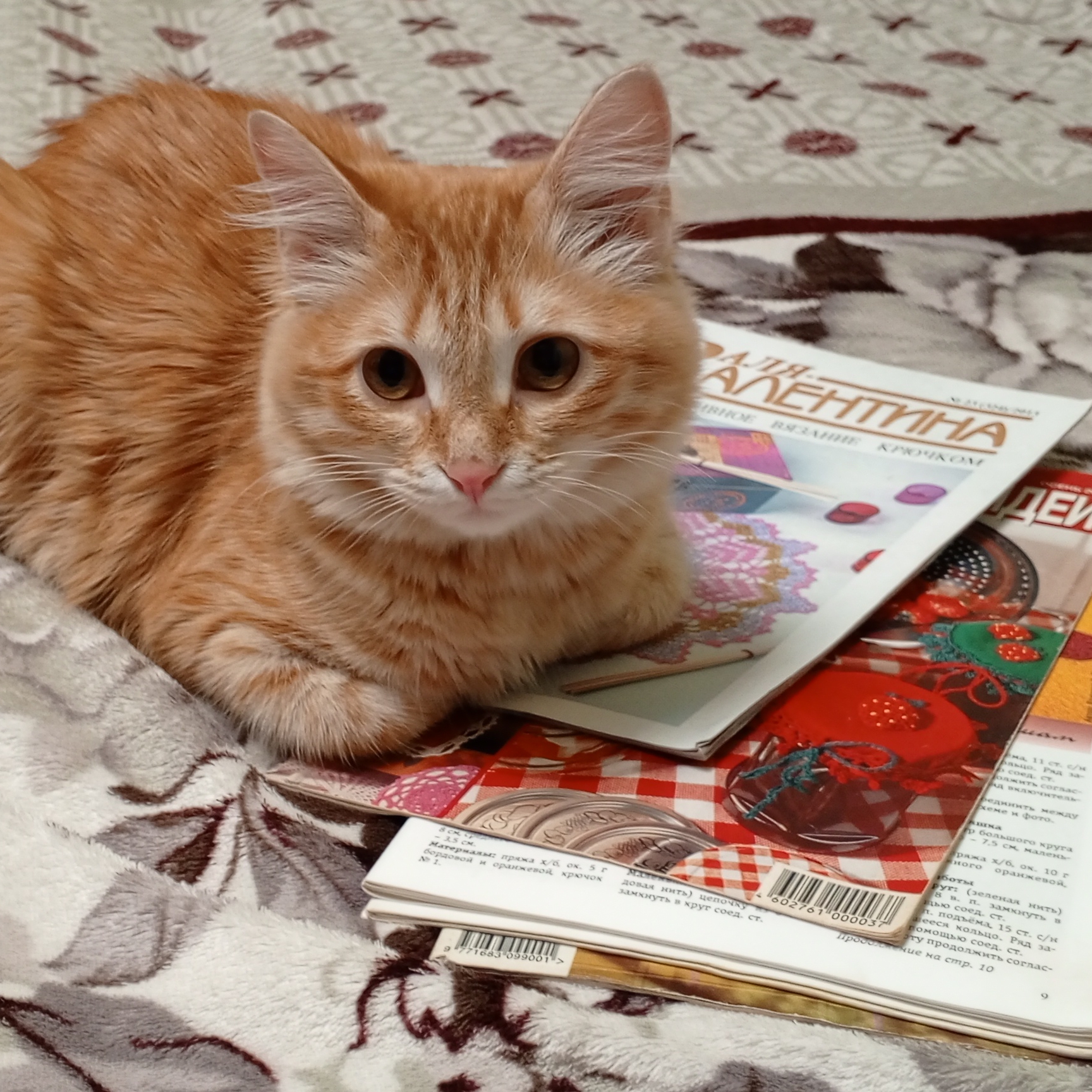 Иконка канала Любимый крючок и не только