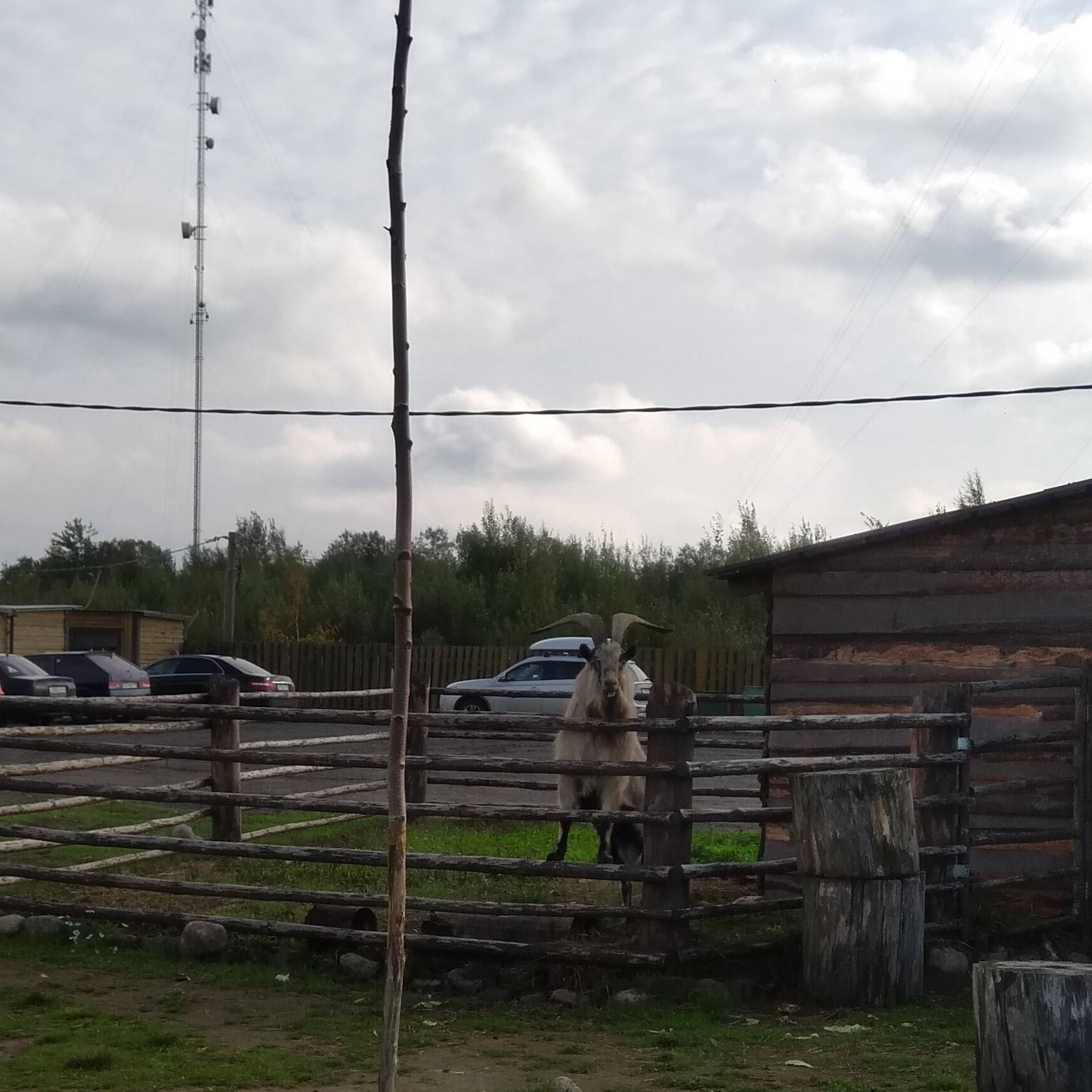 Иконка канала это@ личная жизнь про все