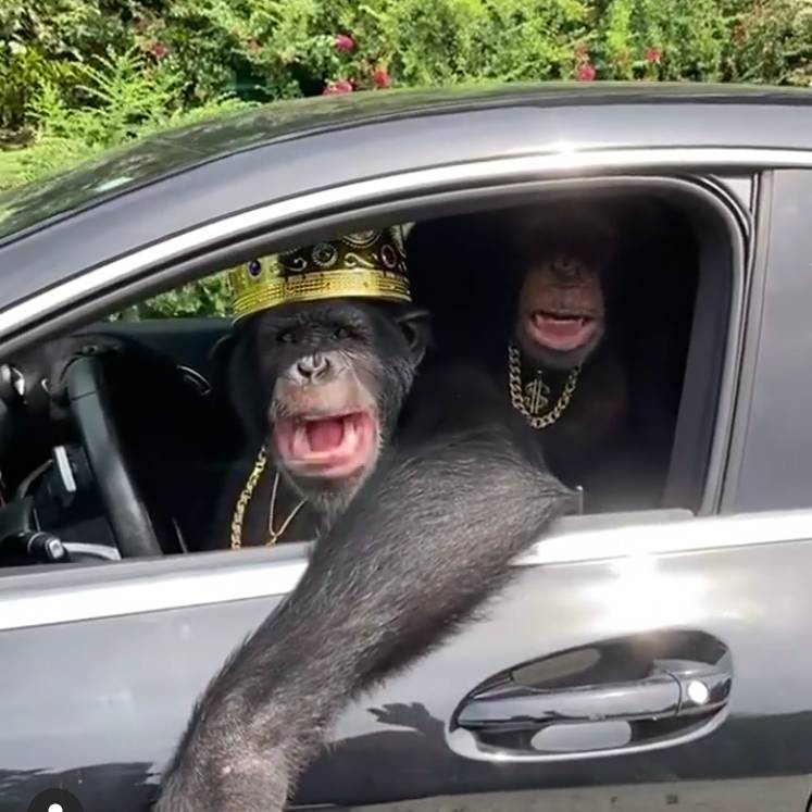 Иконка канала ЯВасян - VKВидео