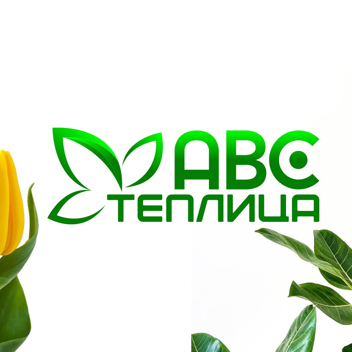 Иконка канала АВС Теплица