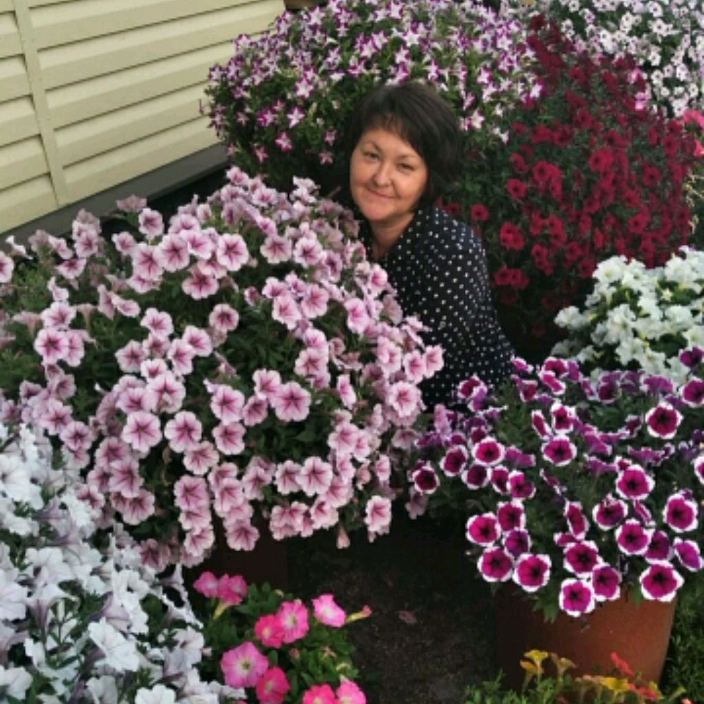 Иконка канала Зауральский садовод