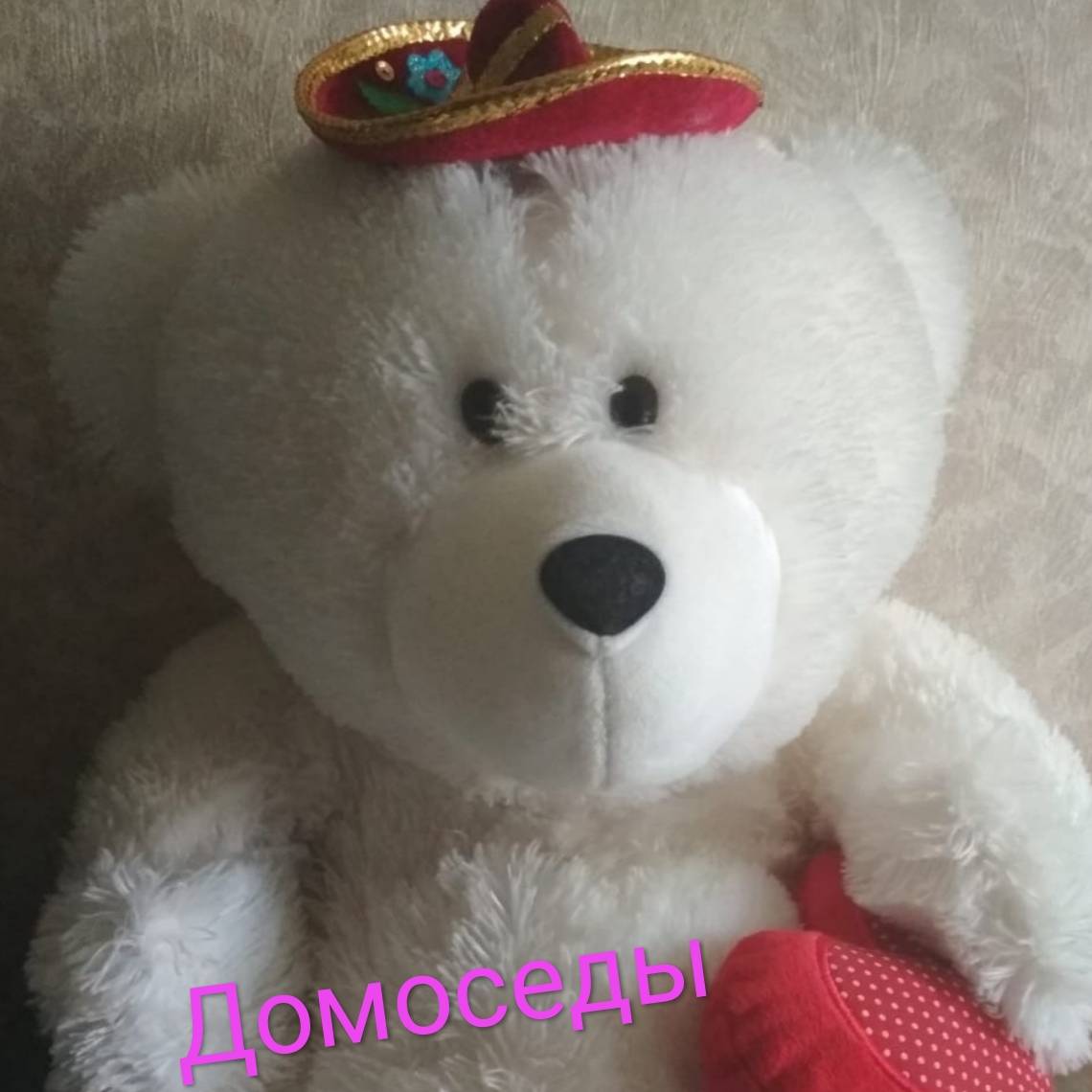 Иконка канала Домоседы