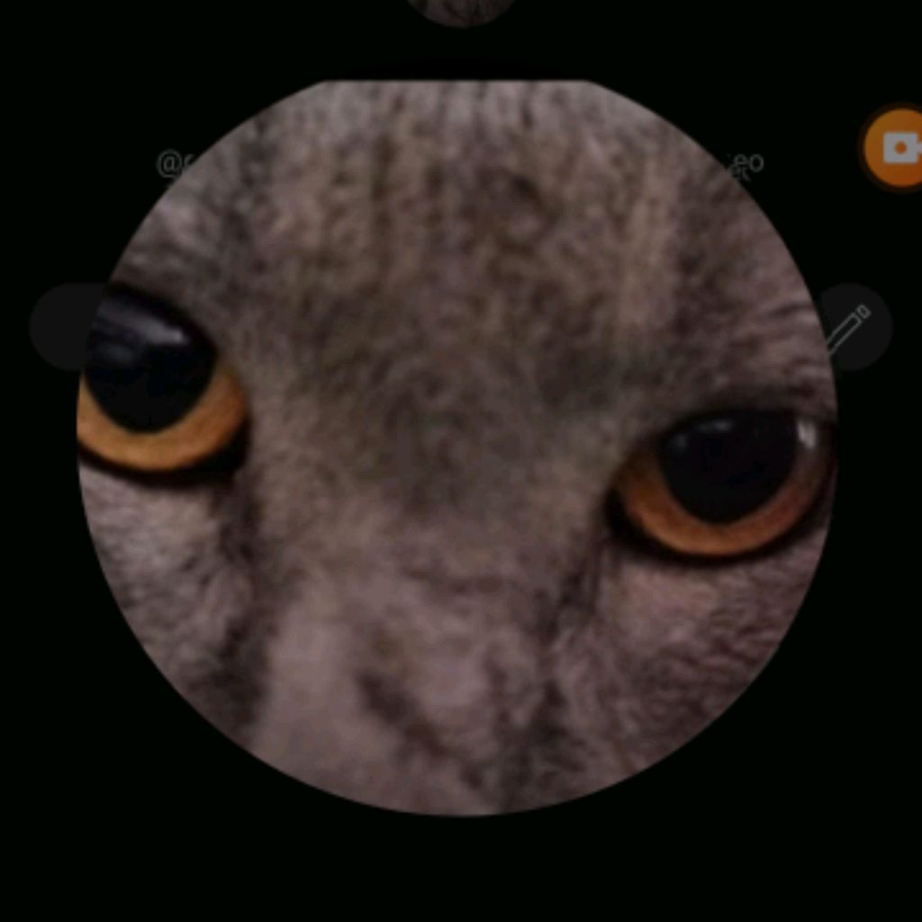 Иконка канала Хотовка в Rytube