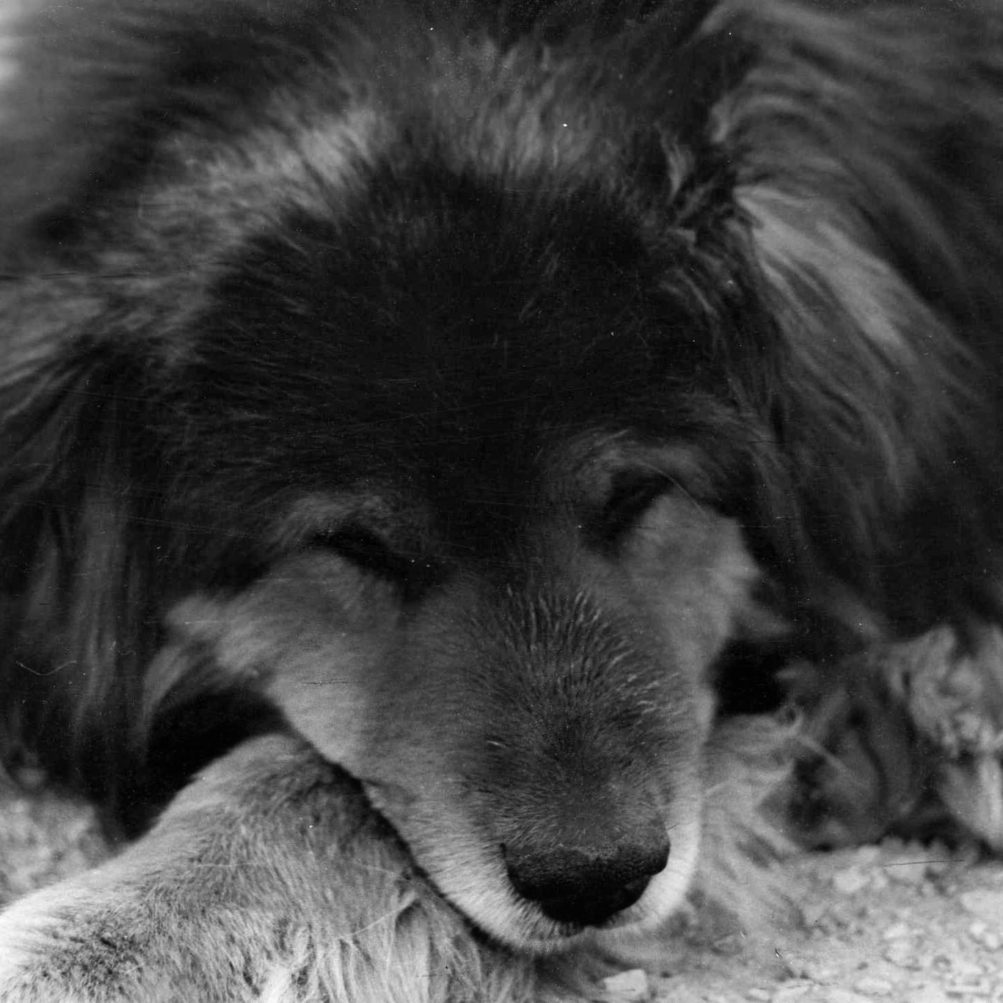 Иконка канала Не pro анекдот.