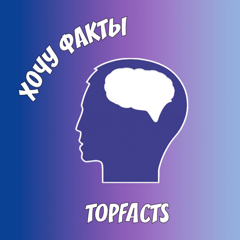 Иконка канала TopFacts