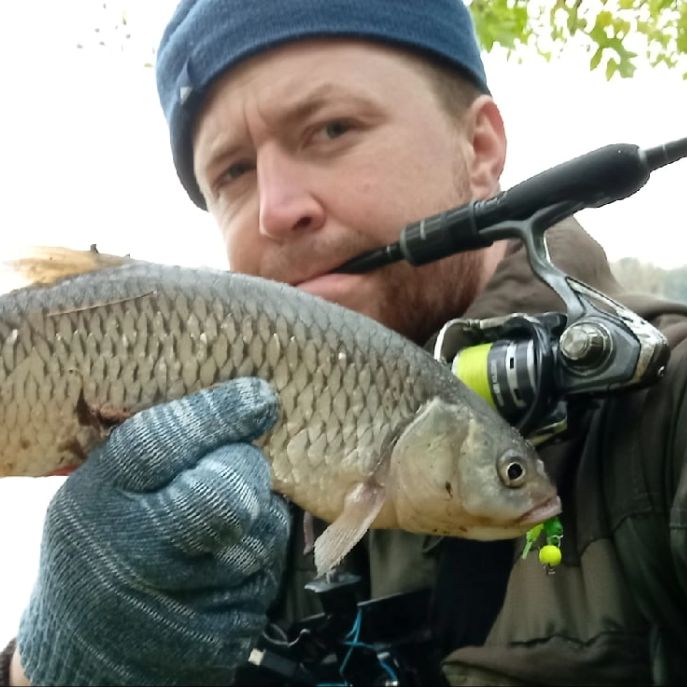 Иконка канала Killer Fish 001